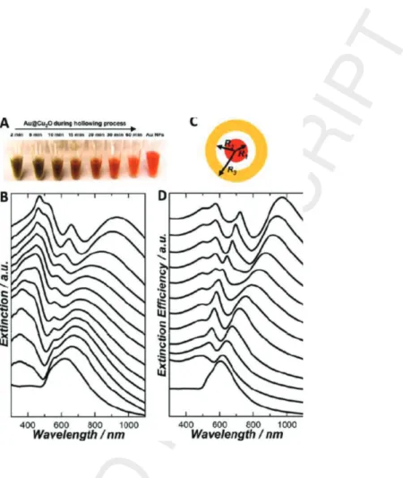 Figure 11: Optical tunability of Au@Cu 2 O NPs. (A) Photograph of colloidal suspensions with an average Au@Cu 2 O outer radius of 130 nm obtained at different reaction times during the symmetric hollowing of Cu 2 O shells