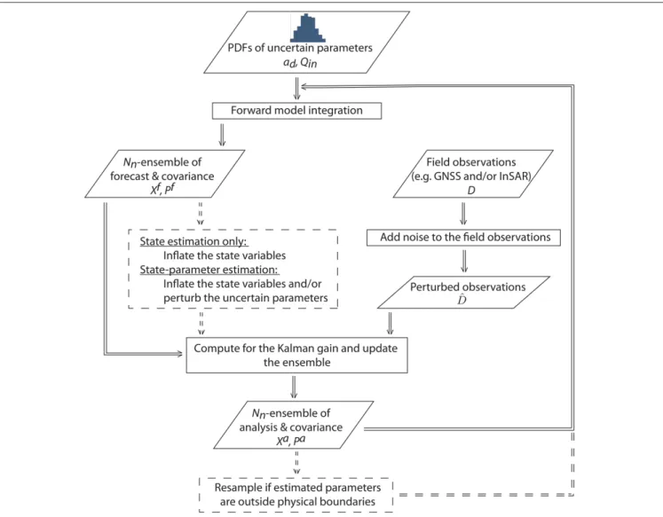 FIGURE 2 | The step-by-step EnKF strategy that we implemented in this study. The broken borders and lines imply that the step is optional.