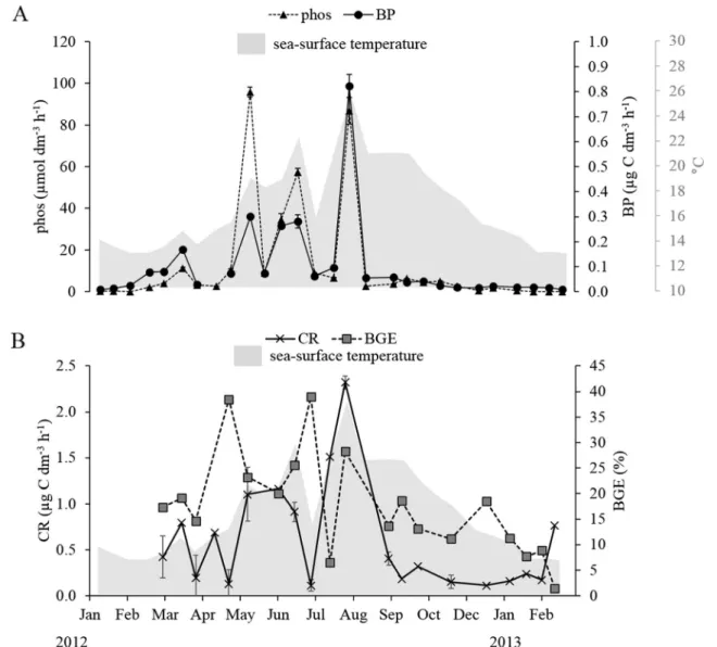 Fig. 6 Time series of (a) bacterial production and phosphatase activity and (b) community respiration and bacterial growth efficiency (BGE=BP/(BP+
