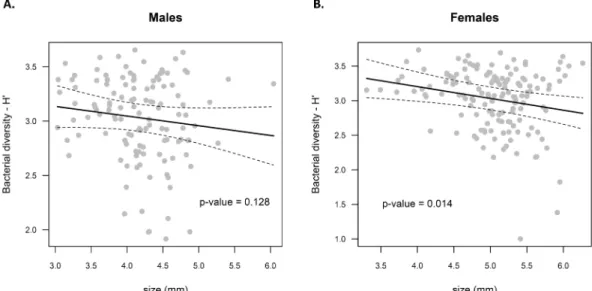 Fig 3. Relationship between mosquito size and the midgut bacterial α-diversity. Fitted GAMM model (solid line) and its standard errors (dashed lines) are represented for (A) Male and (B) female samples.