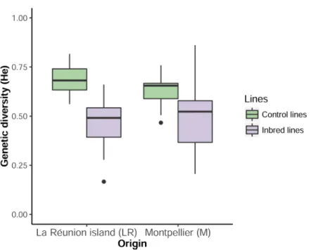 Fig 2. Genetic diversity reduction in inbred lines of mosquitoes. Boxplot of the He index after controlled mating of the lines (inbred, control) from the two origins (MP = Montpellier, LR = La Re´union Island).