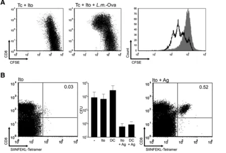 Figure 5. Upon Infection, Ito Cells Elicit Peptide-Specific T Cells and Mediate Protection In Vivo