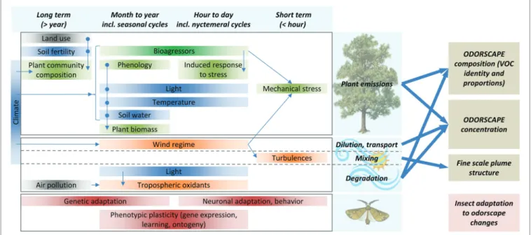 FIGURE 2  |  Odorscapes are highly variable at a diversity of time scales. The left part of this chart depicts the factors that determine volatile emissions by plants  (top), atmospheric processes (middle), and the processes by which insects can adapt to c