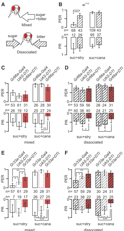 Figure 2. Strychnine-induced inhibition of the PER on the legs is more potent in a mixture with sugar than when presented separately, and bitter-cell ablation reduces the PR