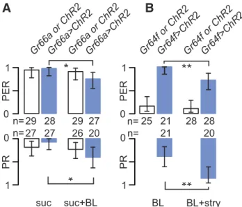 Figure 3. Optogenetic activation of either cell type bypasses the mixture effect. A, Flies expressing ChR2 in bitter-sensitive cells (Gr66a ⬎ ChR2) were stimulated on the tarsi with 0.1 M