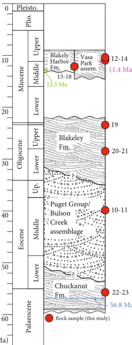 Figure 3: Composite stratigraphic column displaying age relationships of units from the Cascadia forearc sampled for this study