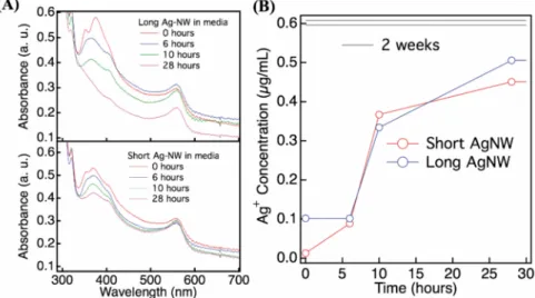 Figure 1. Physicochemical behavior of AgNW in keratinocyte culture medium (KSFM). Kinetics of short and long AgNWs settling (A) and dissolution (B) following incubation in KSFM medium measured by UV-vis (A) and ICP-MS (B)
