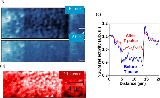 Fig. 3. Spatial detection limit. (a) NSOM reflectivity ( = 488 nm) images of a microwire covered by a layer of 1