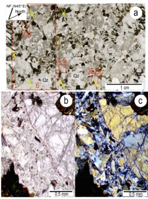 Figure 3. The NOJ220 thin section (45 × 30 mm). (a) Scan show- show-ing the overall preserved magmatic texture