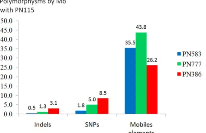 Figure 4. Tree of all registered Pinot clones based on S-SAP data with 4 mobile elements