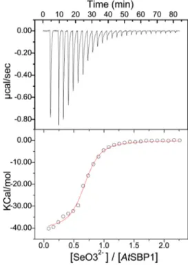 FIGURE 3. Isothermal titration calorimetry experiments showing the binding of SeO 3 2ⴚ to A