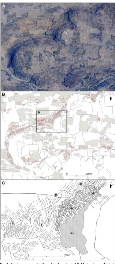 Fig. 4. Landscape organization of archaeological field structures. (A) Aerial view of the site of Charali (site 6, Fig