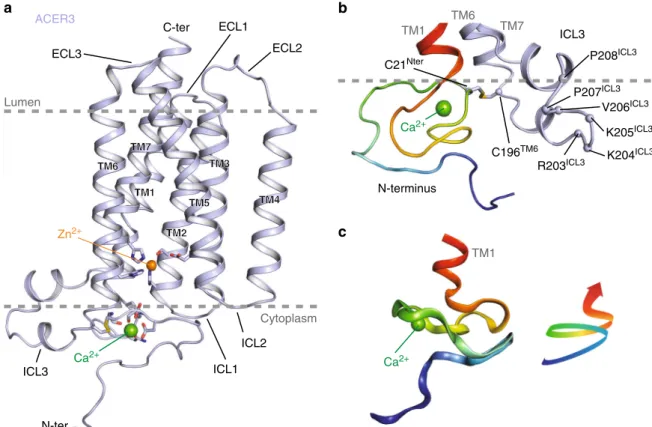 Fig. 1 Crystal structure of ACER3. a Overall view of ACER3 crystal structure at 2.7 Å from within the membrane plane