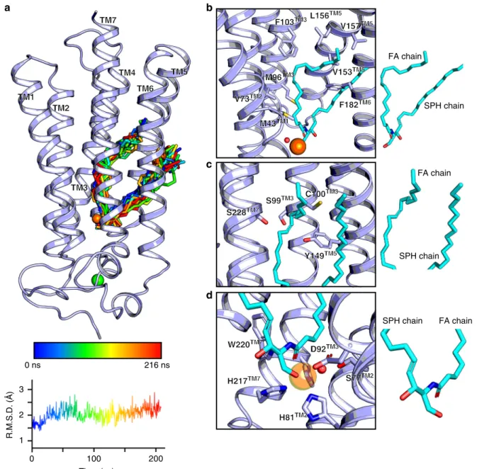 Fig. 3 Computational analyses of ceramide 18:1 docking into ACER3. a Top scoring C18:1 ceramide (shown as stick) docking pose (hydrogens were omitted for clarity) and observed ligand trajectory during a 216 ns long MD simulations (from blue to red with lig