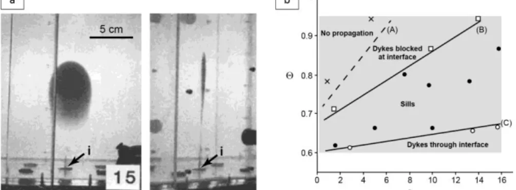 Figure 6. Experiments on intrusion dynamics. (a) Buoyant crack generated by injection of a fluid by a  syringe  at  a  point  source  (i),  shown  in  front  (left)  and  side  (right)  views