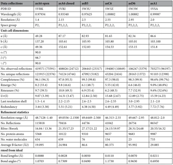 Table 1.  Data collection and refinement statistics of SsoPox variants structures.