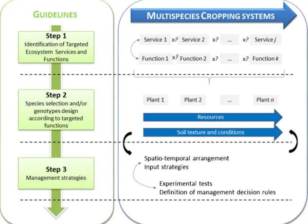 Fig. 8 Guidelines split into a three-step design process for developing sustainable multiple cropping systems