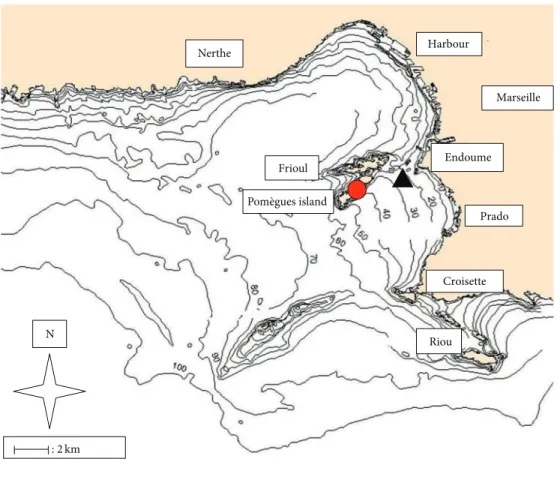 Figure 1: General map of the bay of Marseille with bathymetry (m), artiicial reefs immersion zone, and meteorological station of Pom`egues island.