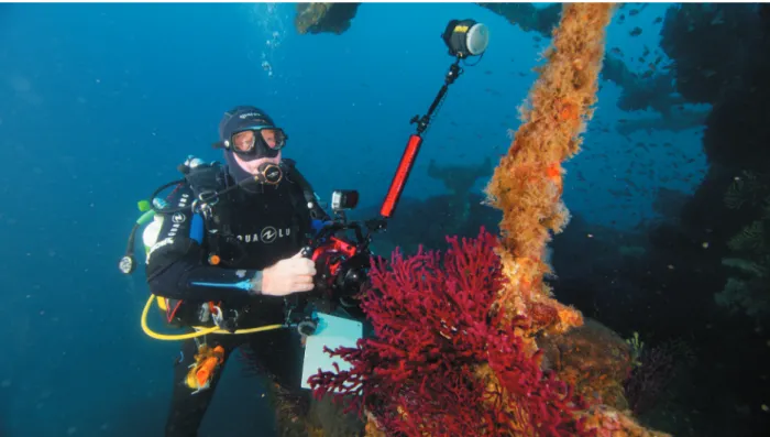 Fig. 3. Patrice Francour diving on the wreck Donator at Porquerolles (France) in July 2018; © Jerome Espla