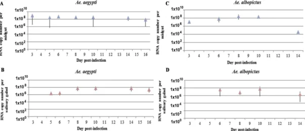 Figure 4. Kinetics of ZIKV infection of MG and SG of Ae. aegypti and Ae. albopictus measured by RT- RT-qPCR