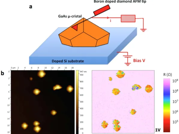 Figure 4.  I–V measurements. I–V characteristics, measured by CP-AFM, of the ELTOn GaAs/Si μ -crystal  on  (a) (001) p(B) Si and (b) (001) n(P) Si.