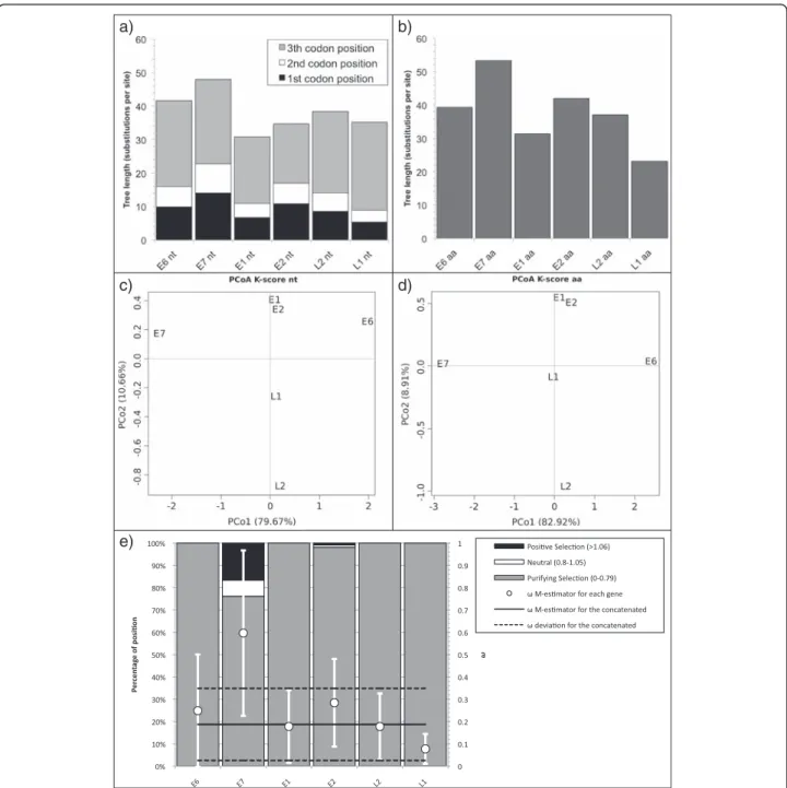 Fig. 5 a,b Tree length (number of substitution per site) for PVs. a Displays nucleotide tree length with the contribution of the first, second and third codon position in dark grey, white and light grey respectively