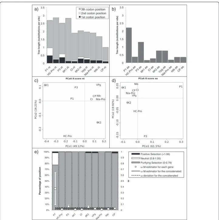 Fig. 3 a,b Tree length (number of substitution per site) of TuMV. a Plot of the nucleotide tree length displaying the contribution of the first, second and third codon position in dark grey, white and light grey respectively