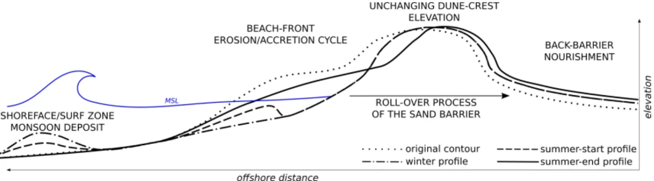 Figure 6: Conceptual model of the sand patterns along one year and successive monsoon and typhoons seasons.