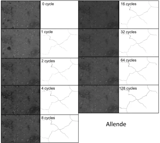 Figure 6. EDS–SEM images of crack growth on the surface of Allende sample from 0 to 128 thermal cycles (Table 1)