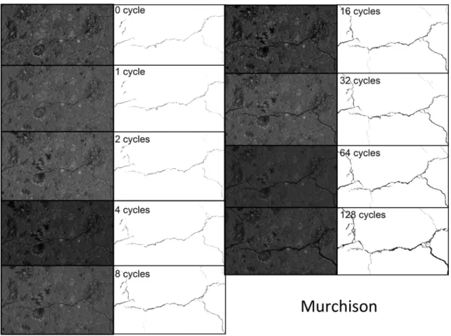 Figure 5. EDS–SEM images of crack growth on the surface of Murchison from 0 to 128 thermal cycles with T ≈ 280 K and T max