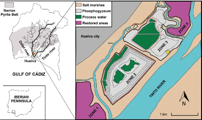 Figure 1: Study area description showing the phosphogypsum stack disposed on the salt  marsh soil