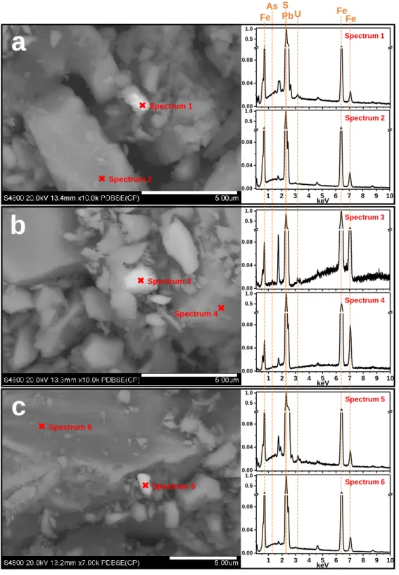 Figure 4. Backscattered electron (BSE) images of (a) Pb-pII-pH6.5, (b) As-pII-pH3.0, and (c)  Si-pII-pH6.5