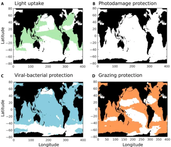 Fig. 4. Potential niches of calcification benefits in coccolithophores using the MITgcm model