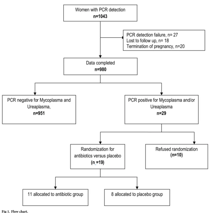 Fig 1. Flow chart.