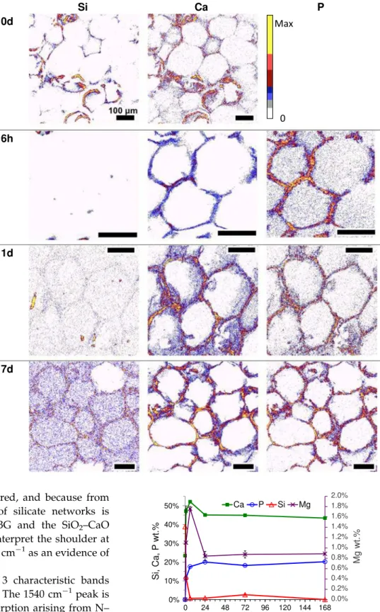 Figure 6 Evolution of Si, Ca, P, Mg concentrations in the mineralized areas of the scaffolds with increasing time of interaction with SBF