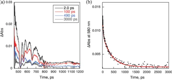 Figure 5. (a) Transient absorption spectra of P(H 2 P) 8 (5.2 × 10 −6 M) with Li + @C 60 (2.0 × 10 −5 M) in deaerated PhCN observed after femtosecond laser ﬂash excitation