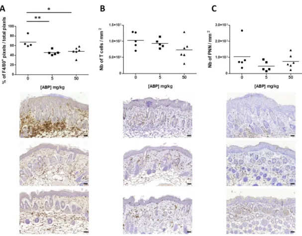 Figure 6. Immunological assessment of the efficacy of the ABP dendrimer when administered  topically to IMQ-induced psoriatic mice