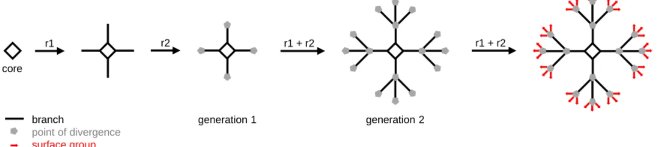 Figure 2. Schematic synthesis of a Generation 2 (two series of branches) dendrimer using a tetravalent  core (i.e., four branches in the first series) and trivalent points of divergence (i.e., 12 branches in the  second series and 36 surface groups)