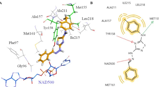 Figure 8. Proposed binding mode of THD2 (orange stick) in the active site of InhA enzyme (A)