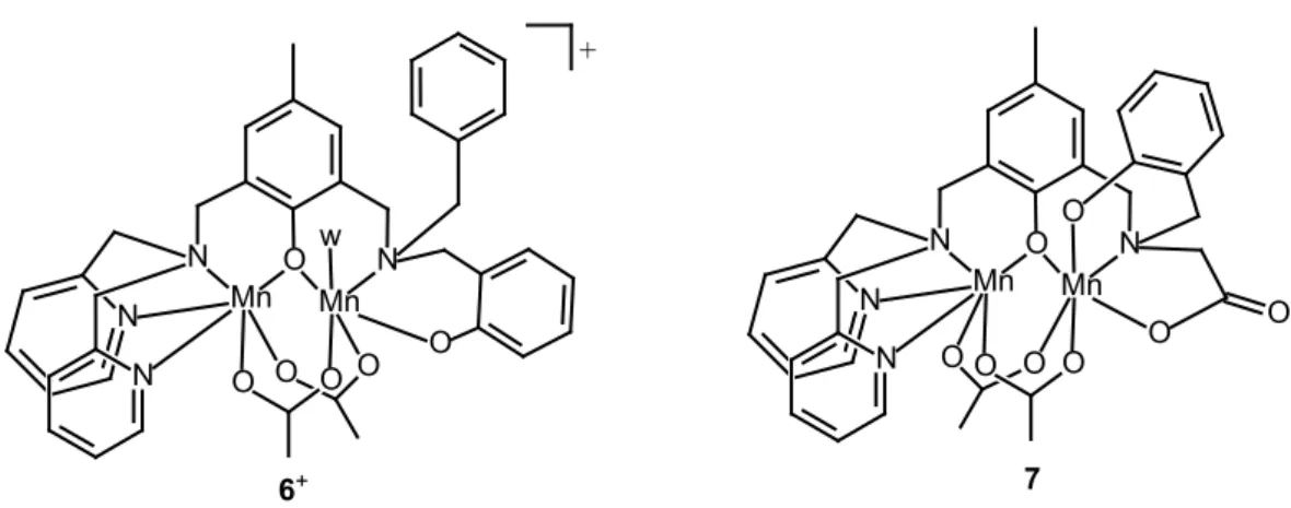 Figure 2. Schematic structure formulas of the diMn complexes under study. w = water  