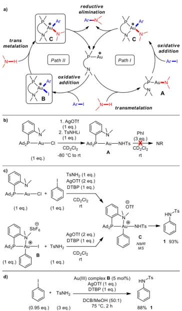 Figure 3. Catalytic cycles envisioned to account for the C–N coupling mediated by bond formation operating via aryl-Au(III) intermediates (a), stoichiometric and  catalytic reactions carried out to gain mechanistic insight (b-d)