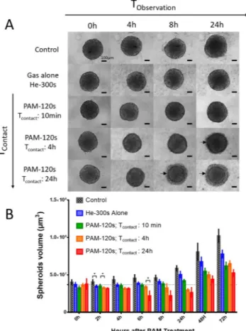 Figure 1.  Human tumor spheroids macroscopic aspect and growth curve after PAM treatment