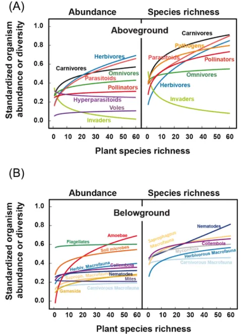 Fig. 7. Effects of plant species richness on above- and belowground organisms in temperate grassland (modified from Scherber, Eisenhauer et al