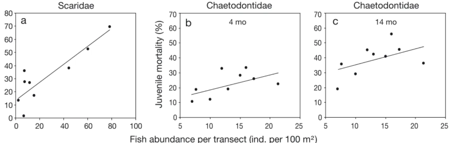 Fig. 4. Influence of fish predation on early stage mortality. (a) Predation-induced mortality of recruits during 1 wk versus abun- abun-dance of scarids at the 9 study stations