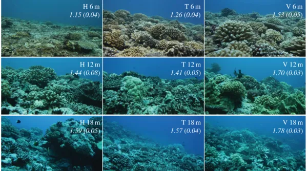 Figure 1. Variability in reefscape across sites and depths as observed around Moorea, French Polynesia
