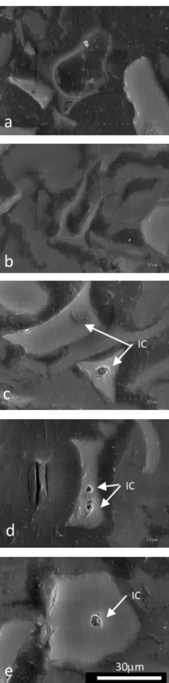 Figure 2. SEM images of the thin section of the TD-F-L wheat phytolith types including silica sheets (a, b), and GSC phytoliths of the rondel type (c, d, e)