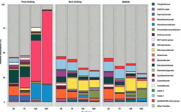 Fig. 2 Relative abundance of prokaryotic groups (family level).