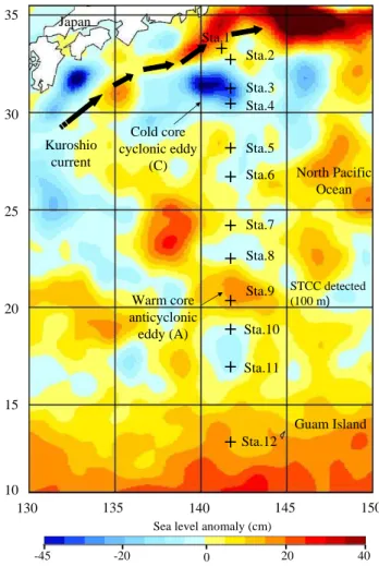 Fig. 1. Map of the sea level anomaly (cm) in the west part of the North Pacific subtropical gyre