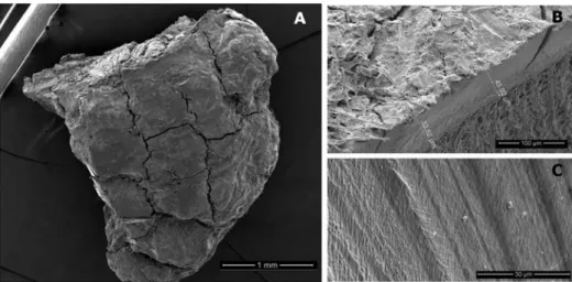 Figure 3. SEM microscopy of plastic after washing with sodium hydroxide solution (1M): (A) a microplastic about 2 mm long presenting large ﬁssures on its face; (B) slice of a mesoplastic obtained by cutting the debris with a scalpel