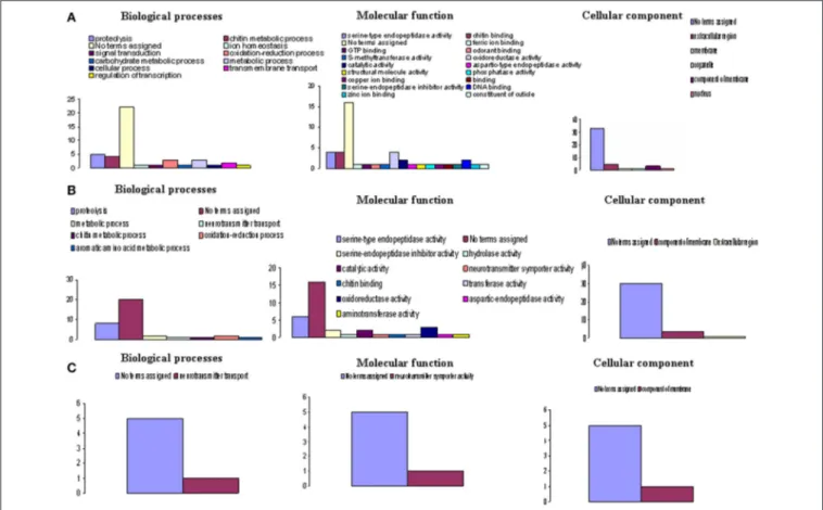 FIGURE 3 | Functional classes of Gmm genes heterologous to highly differentially expressed Gpg genes